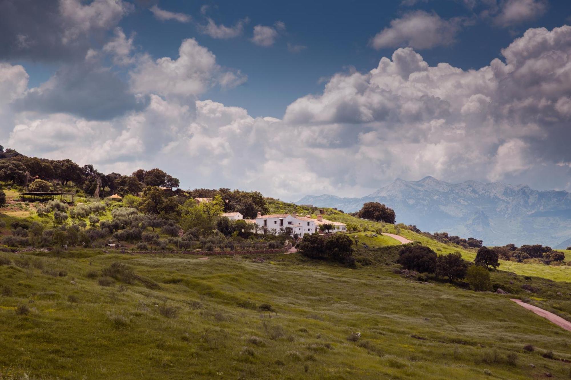 La Donaira Guest House Montecorto Luaran gambar