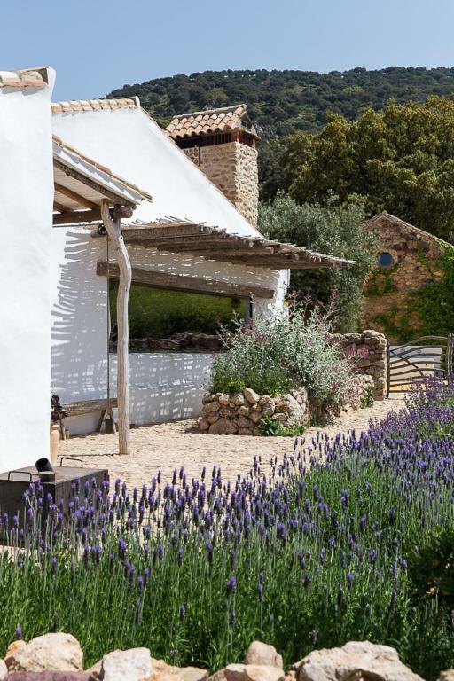 La Donaira Guest House Montecorto Luaran gambar